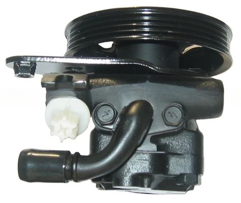 21G72145 پمپ فرمان افزایشی برای نیسان ماکسیما A31 A32 جایگزینی کامل