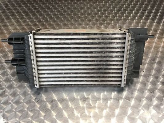 شماره مرجع: 8095055 Inter Cooler Assy برای نیسان جوک 1.6L I4 AT TBO 2016 14461-1KB2A